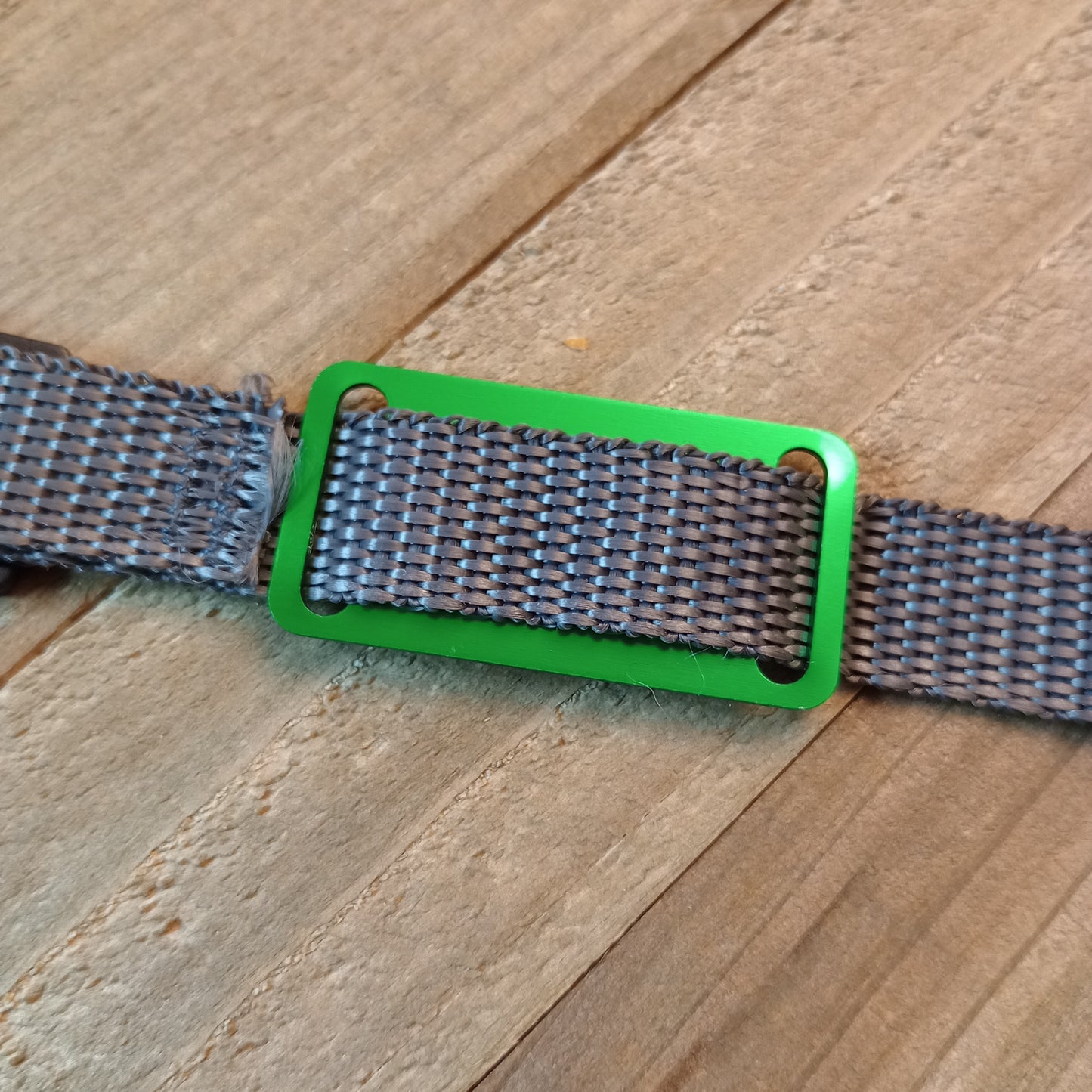 Green Slide-On Pet Tag.