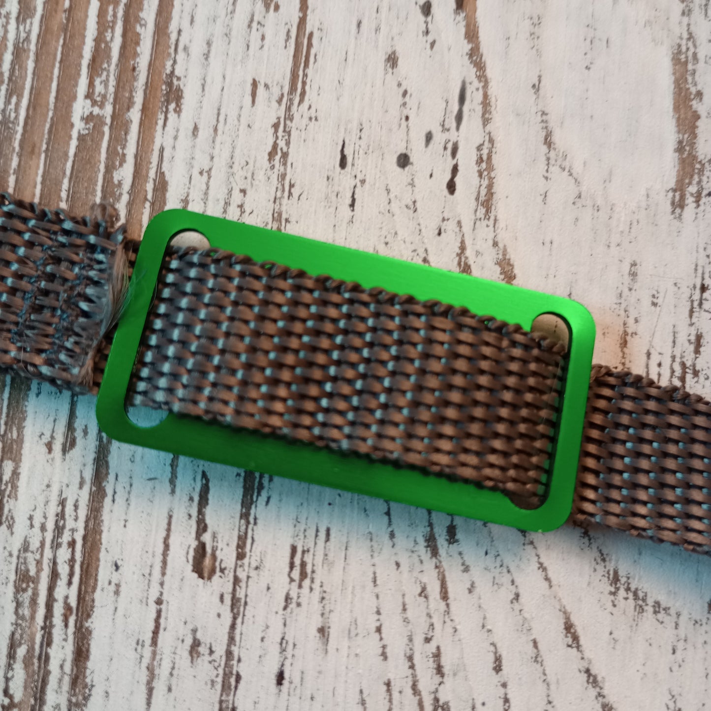 Green Slide-On Pet Tag.