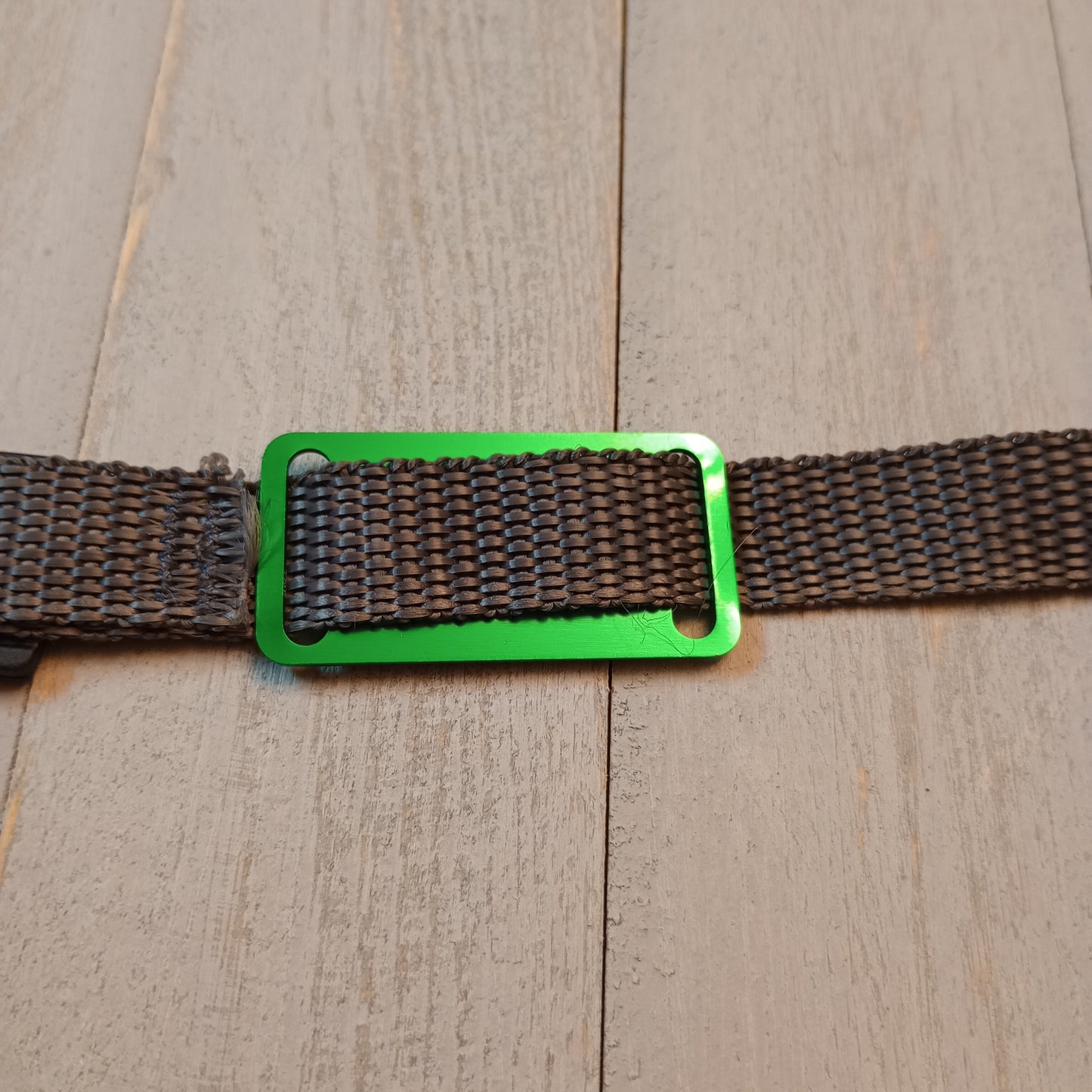 Green Slide-On Pet Tag.