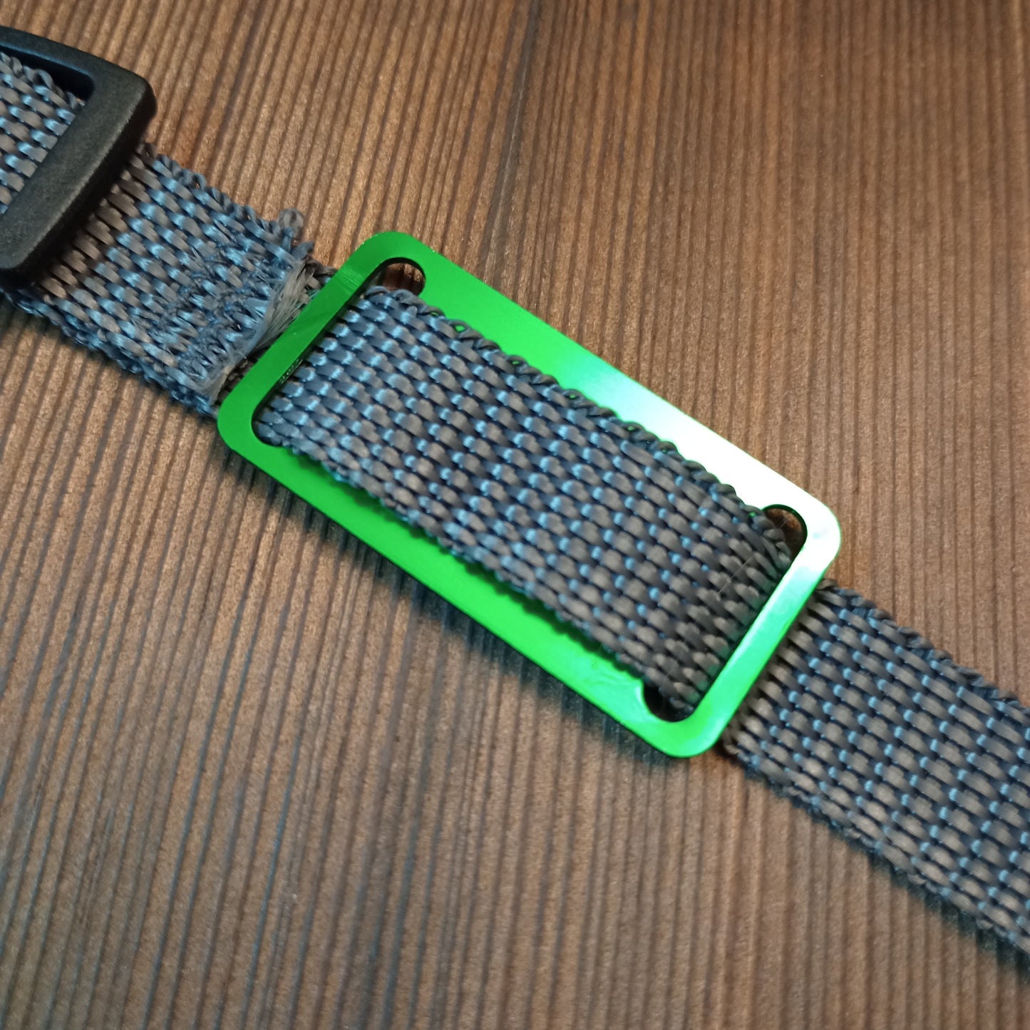 Green Slide-On Pet Tag.