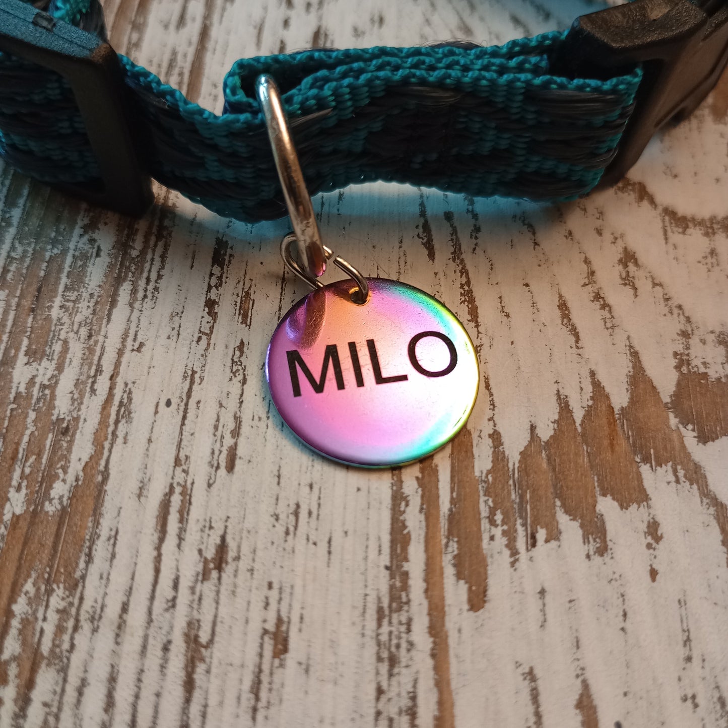 Iridescent Round Pet Tag (20 mm)