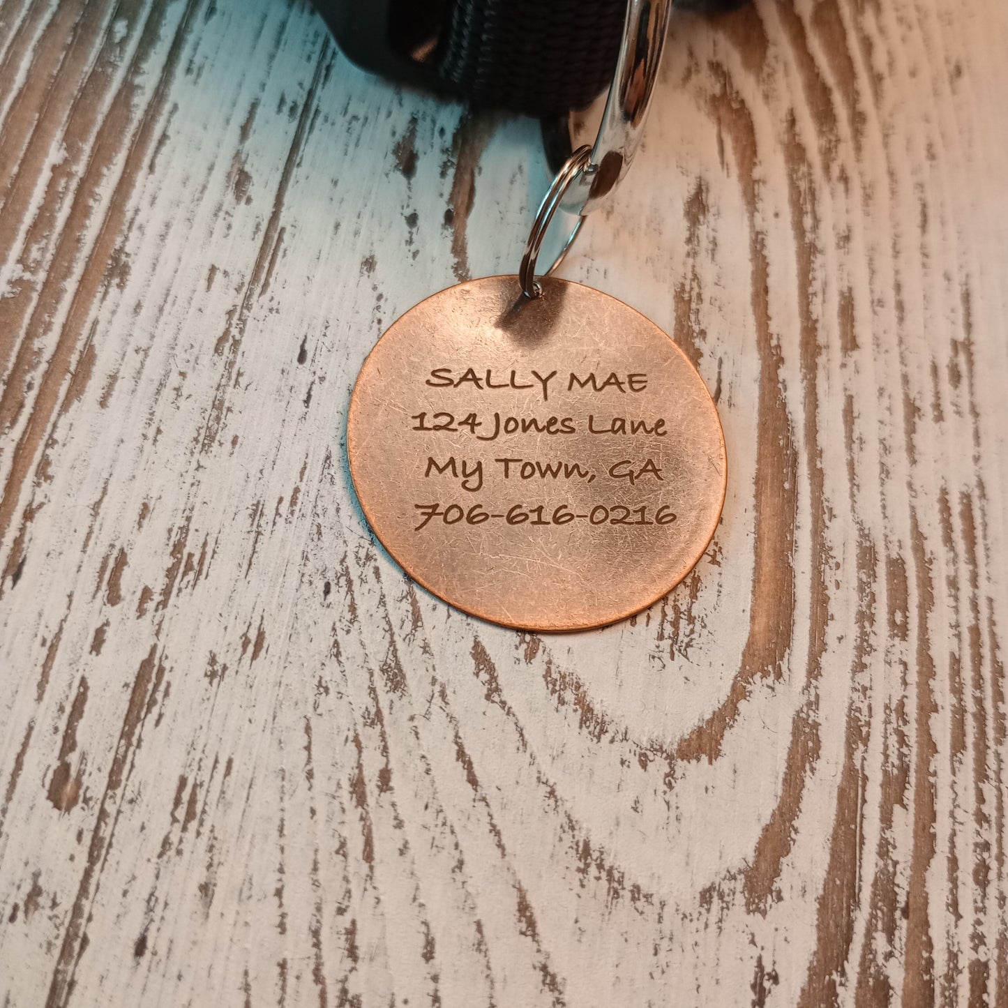 1.3 Inch Brass Round Pet Tag
