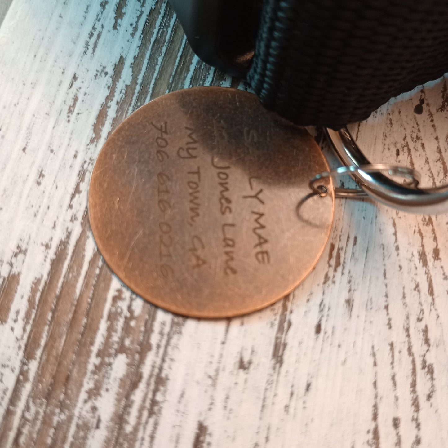 1.3 Inch Brass Round Pet Tag