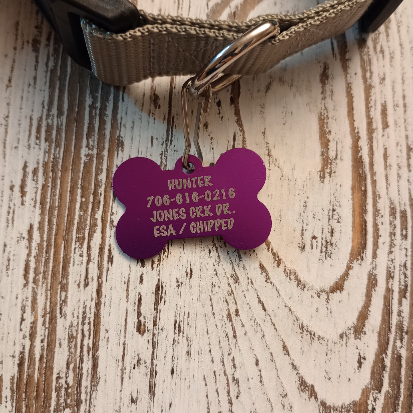 Purple Bone Shaped Pet Tag