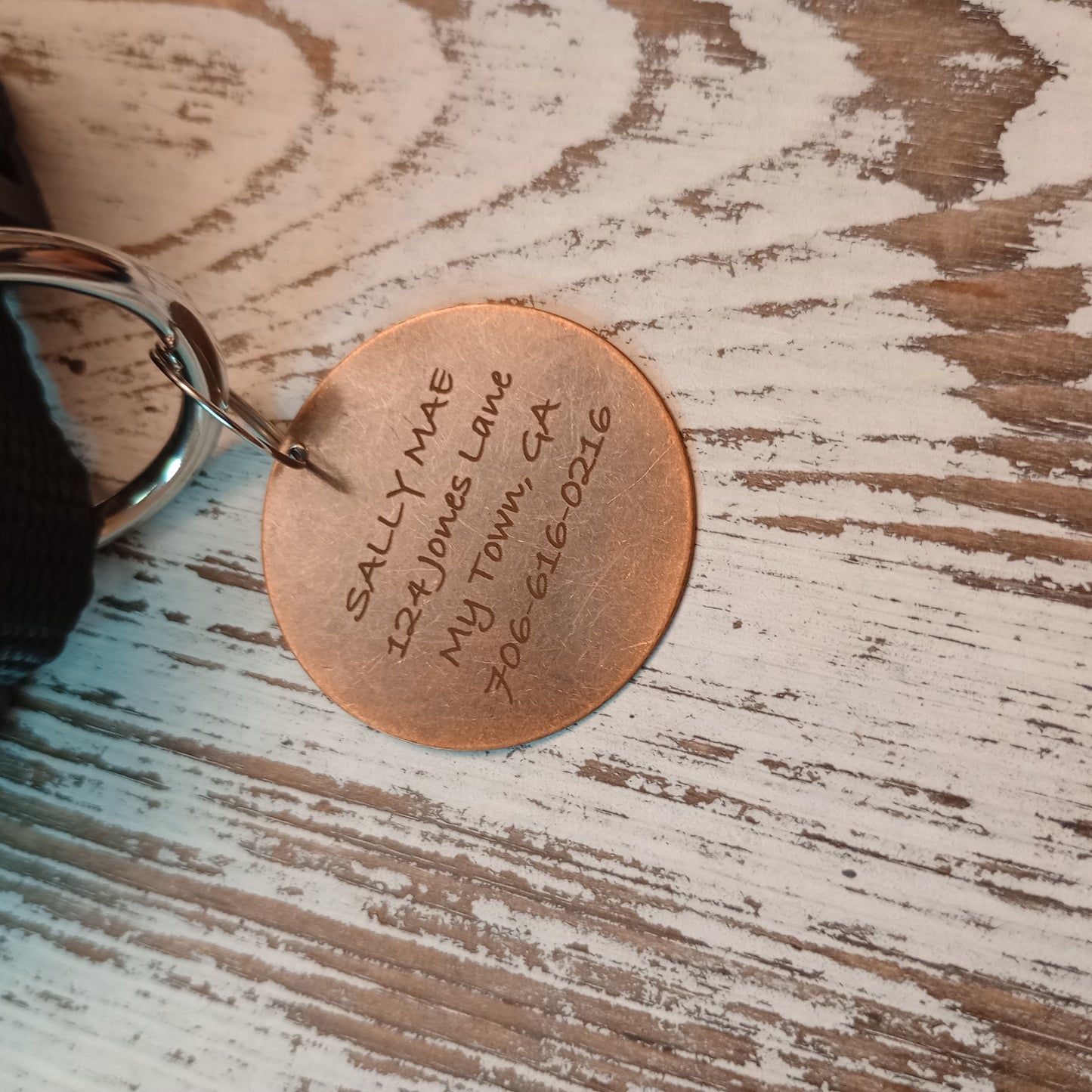 1.3 Inch Brass Round Pet Tag