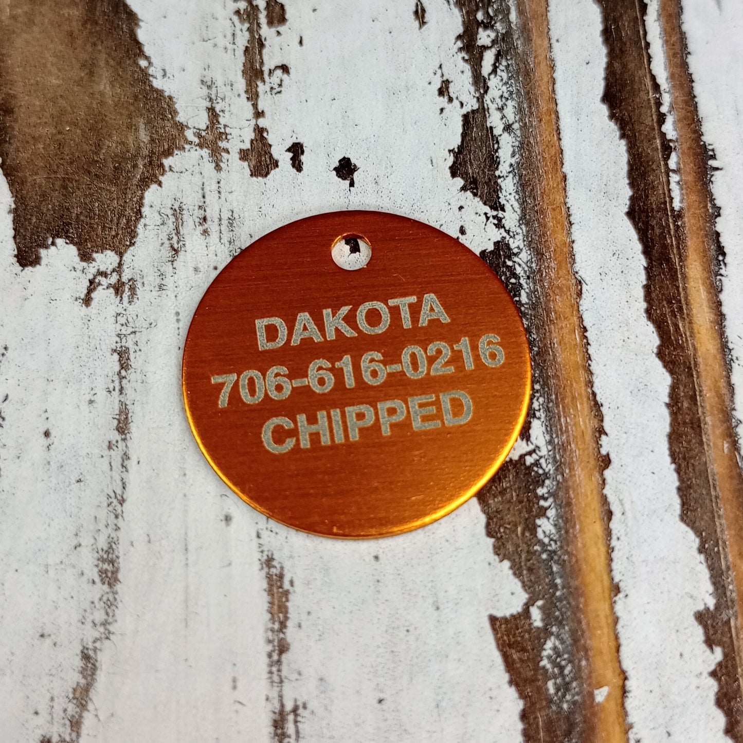Yellow Round Pet Tag.