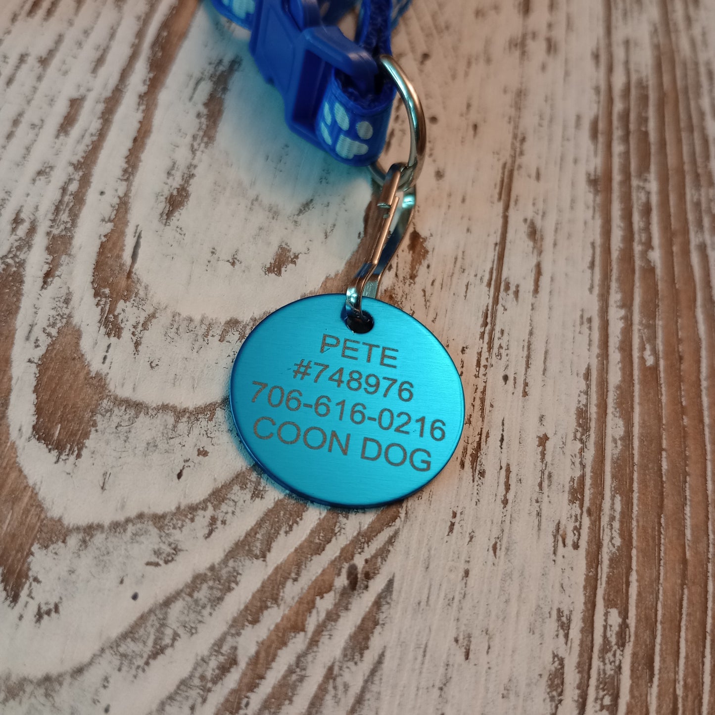 Light Blue Round Pet Tag