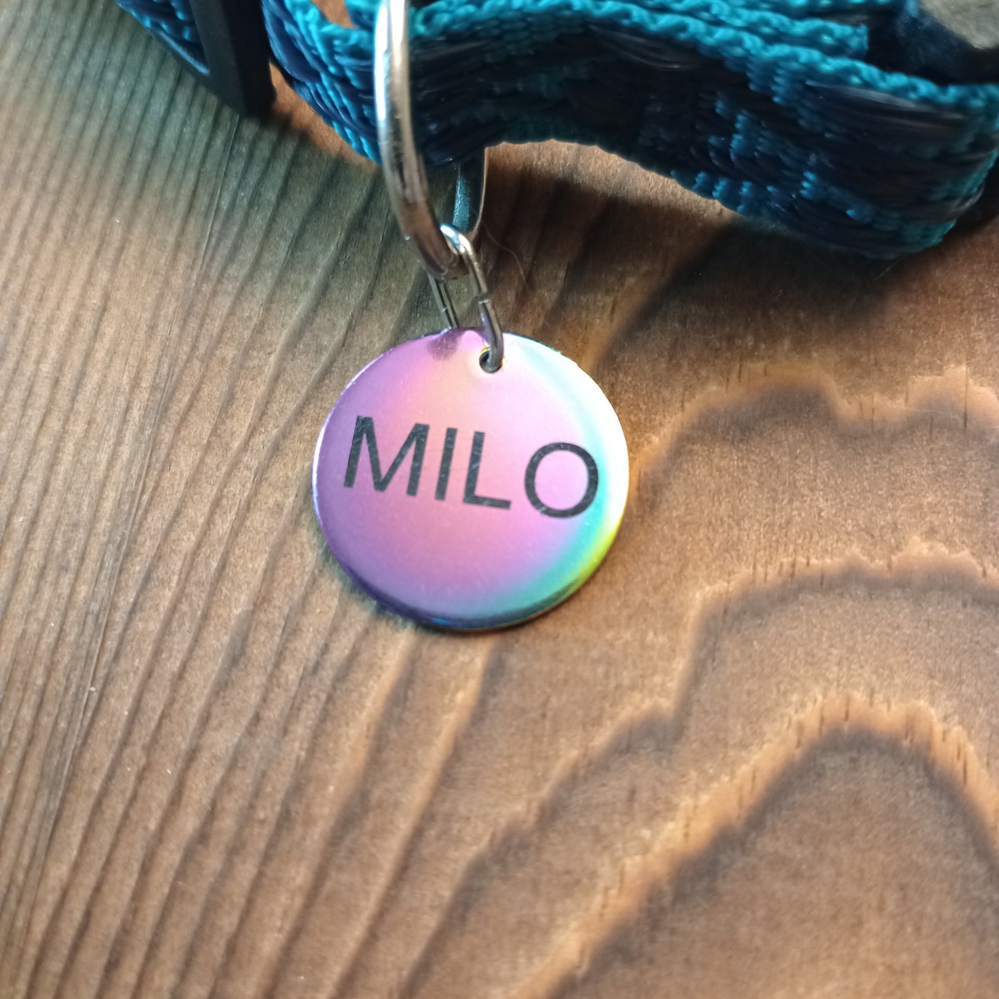 Iridescent Round Pet Tag (20 mm)