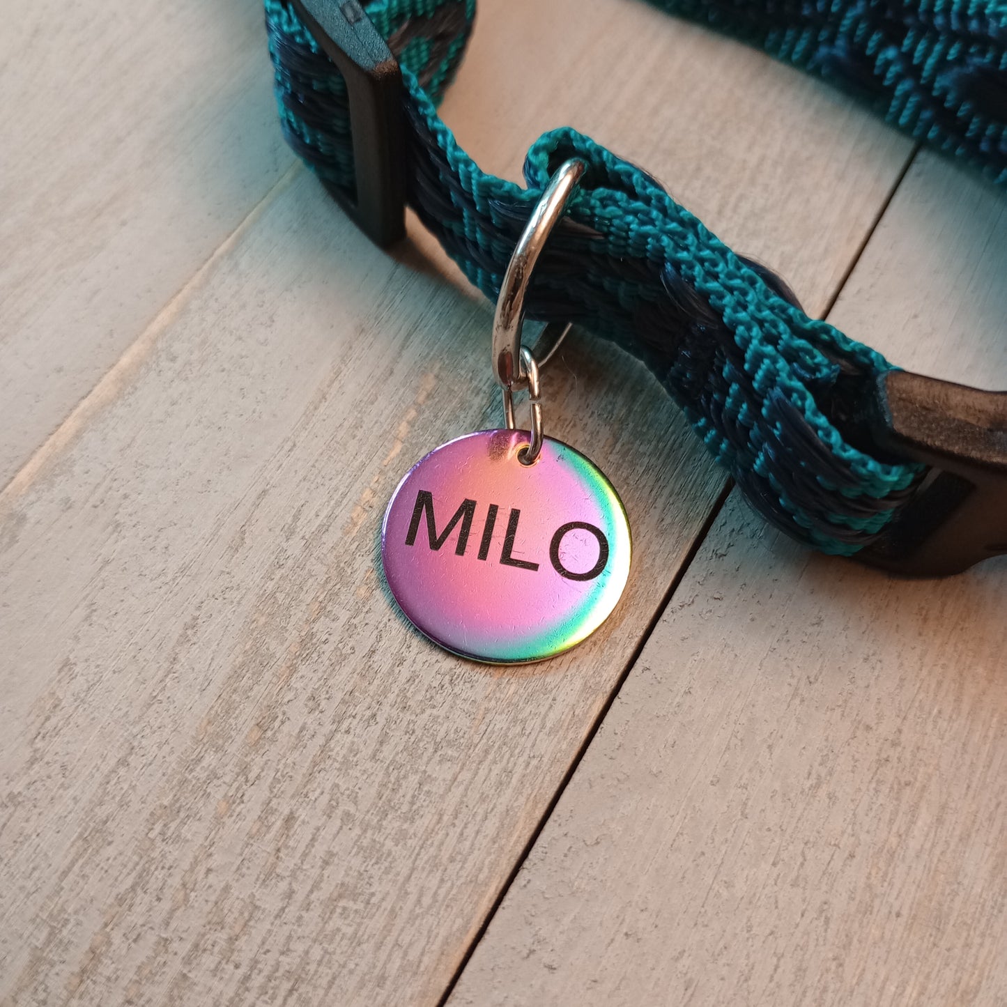 Iridescent Round Pet Tag (20 mm)