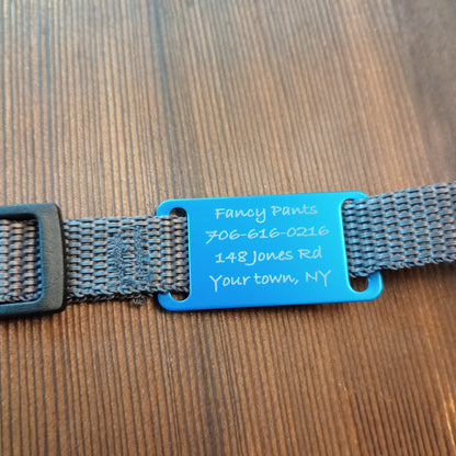 Light Blue Slide-On Pet Tag