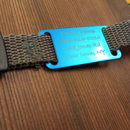 Light Blue Slide-On Pet Tag