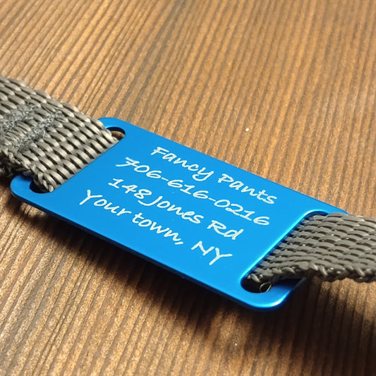 Light Blue Slide-On Pet Tag