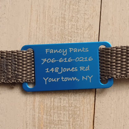 Light Blue Slide-On Pet Tag