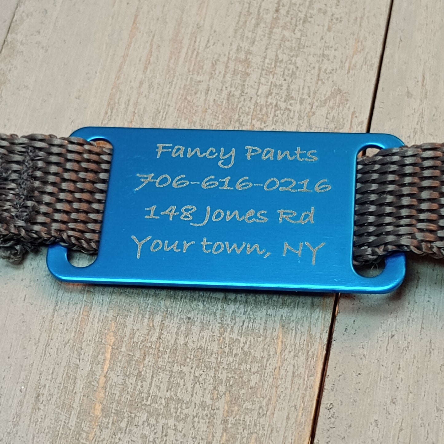 Light Blue Slide-On Pet Tag