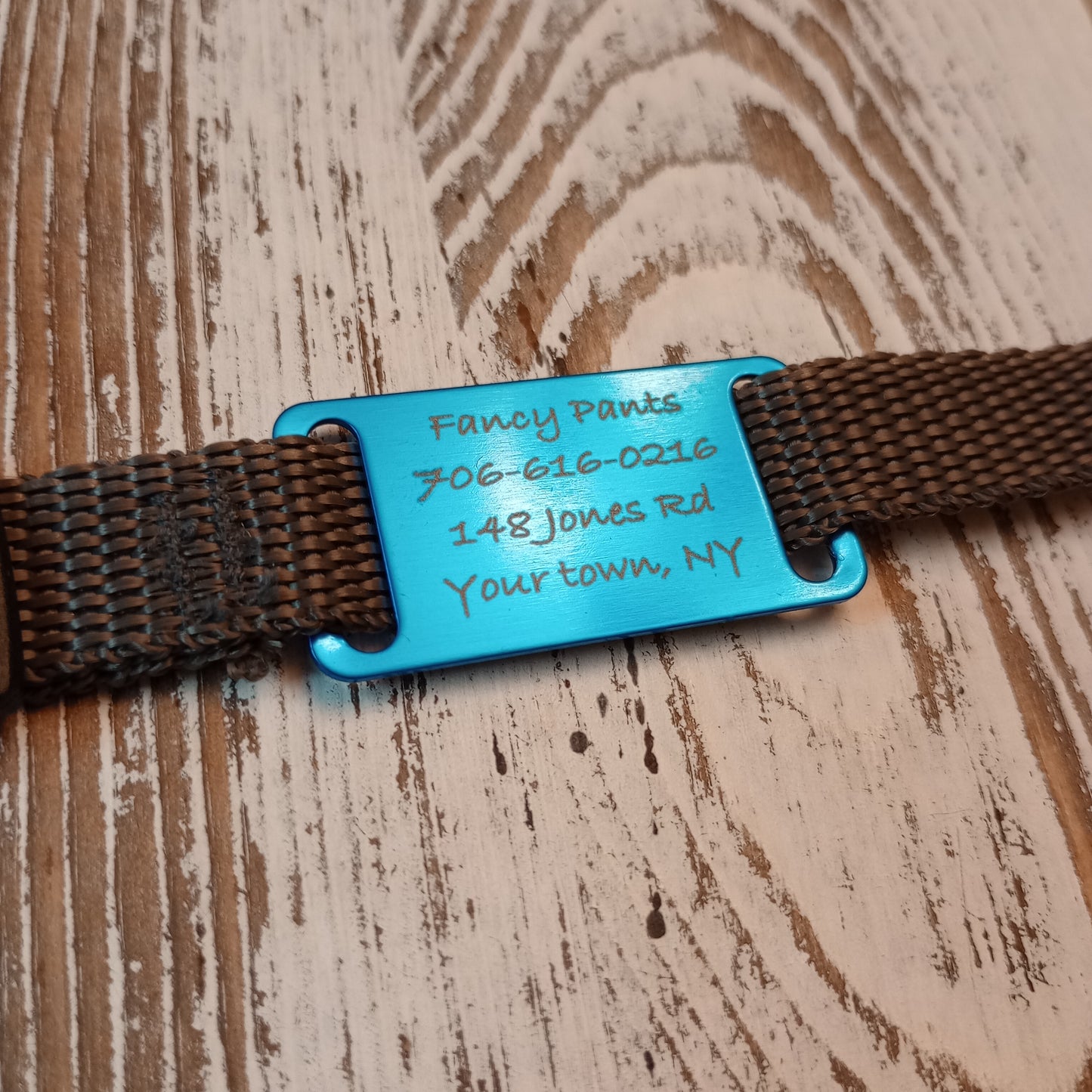 Light Blue Slide-On Pet Tag