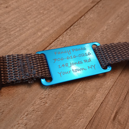 Light Blue Slide-On Pet Tag