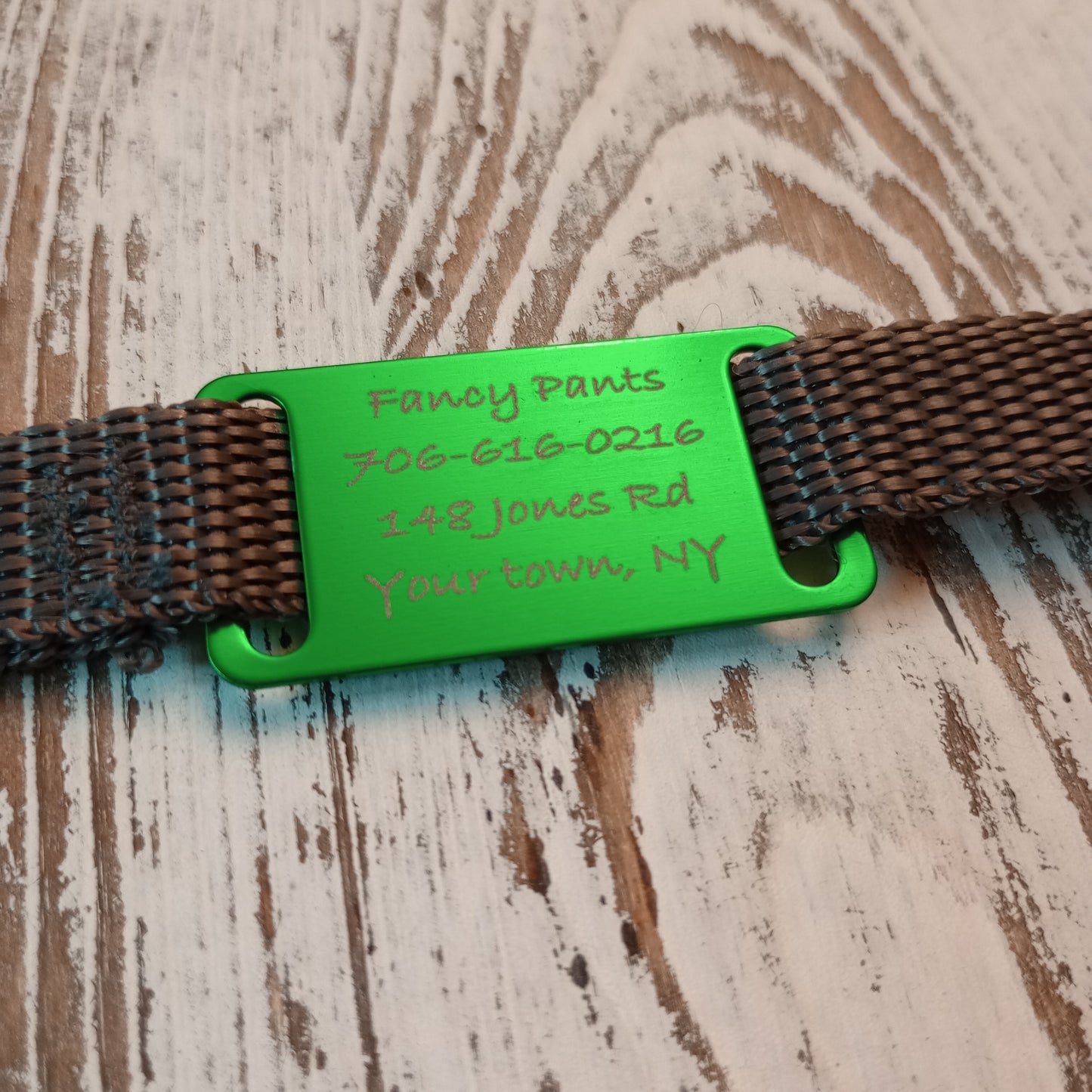 Green Slide-On Pet Tag.