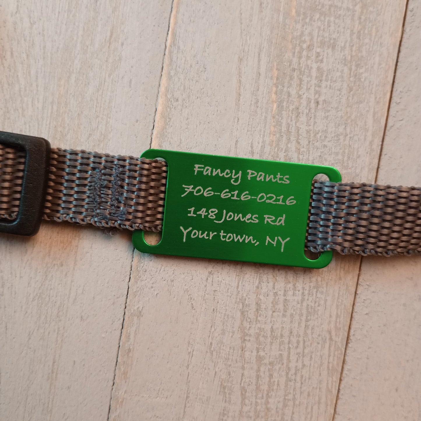 Green Slide-On Pet Tag.