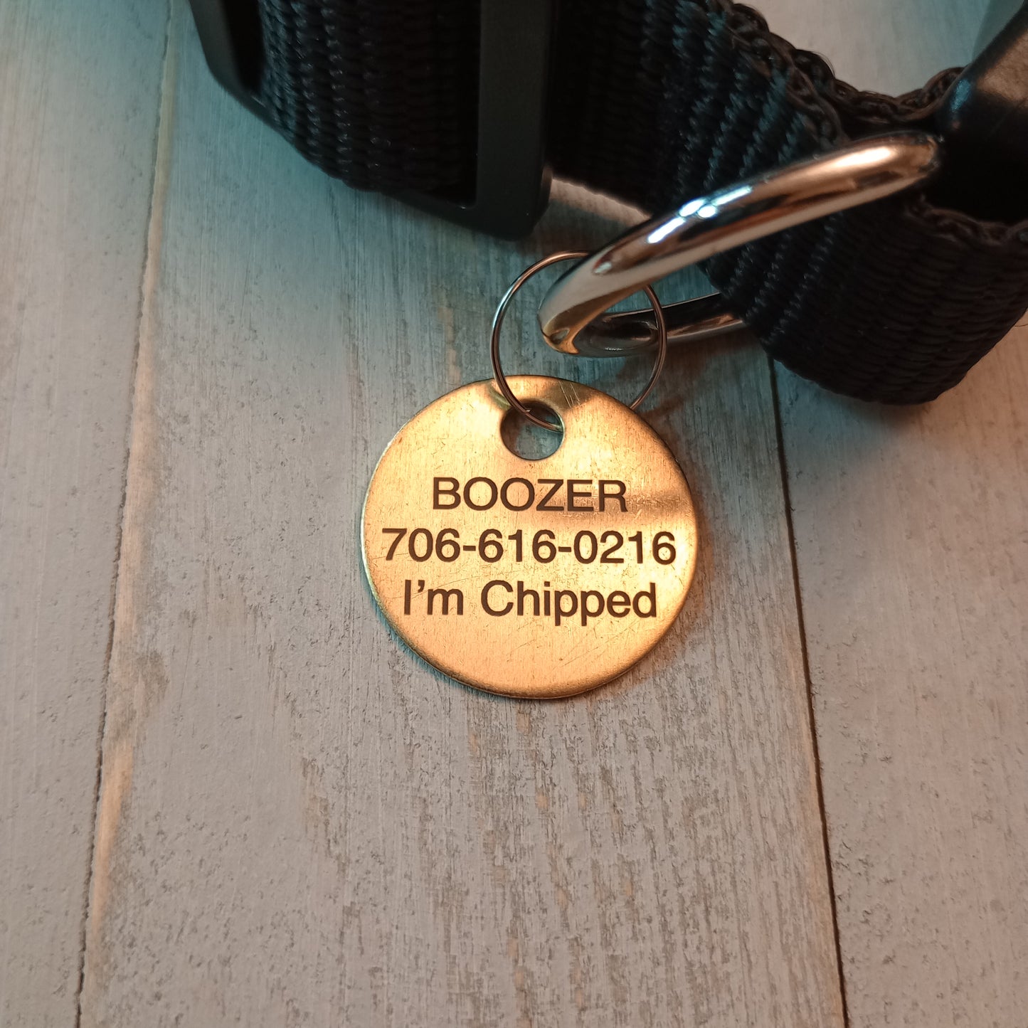 1 Inch Brass Round Pet Tag (C)