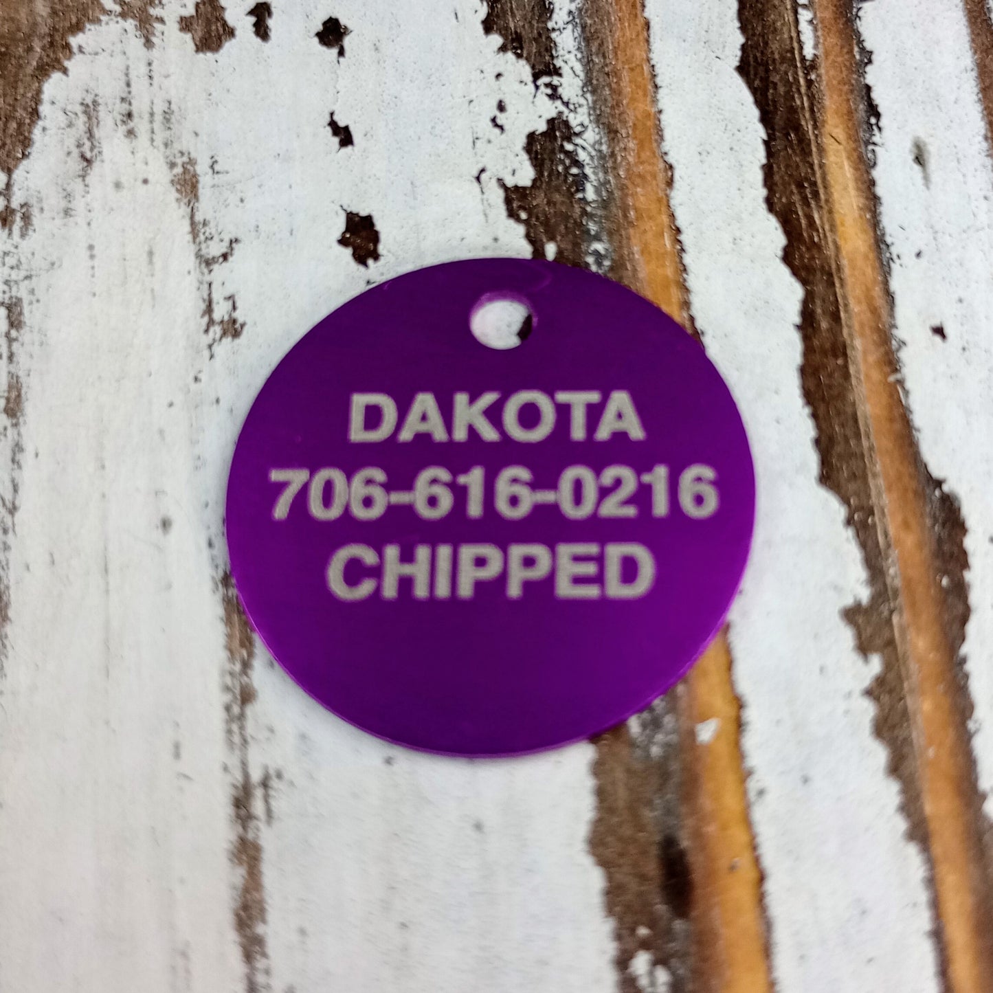 Purple Round Pet Tag