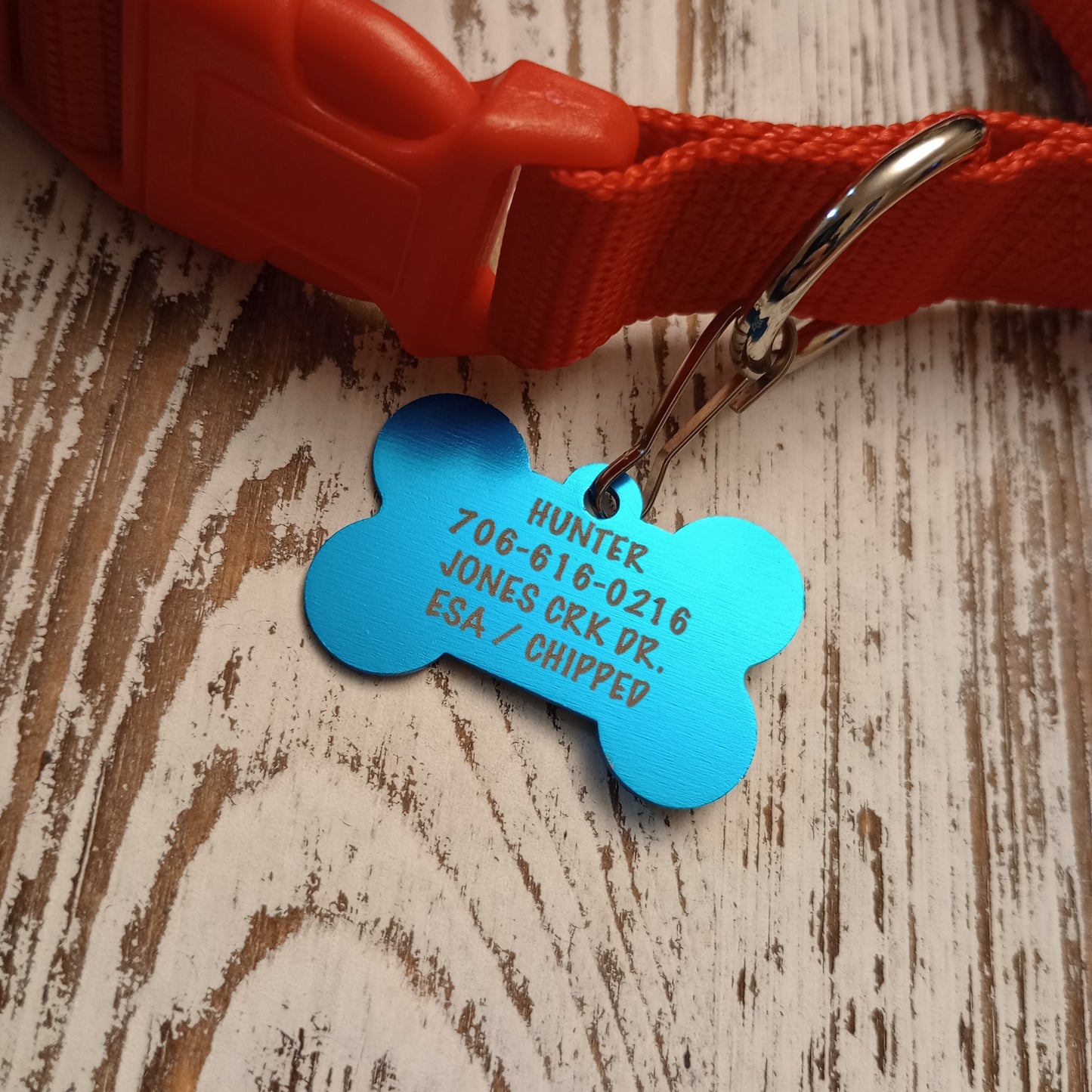 Light Blue Bone Shaped Pet Tag