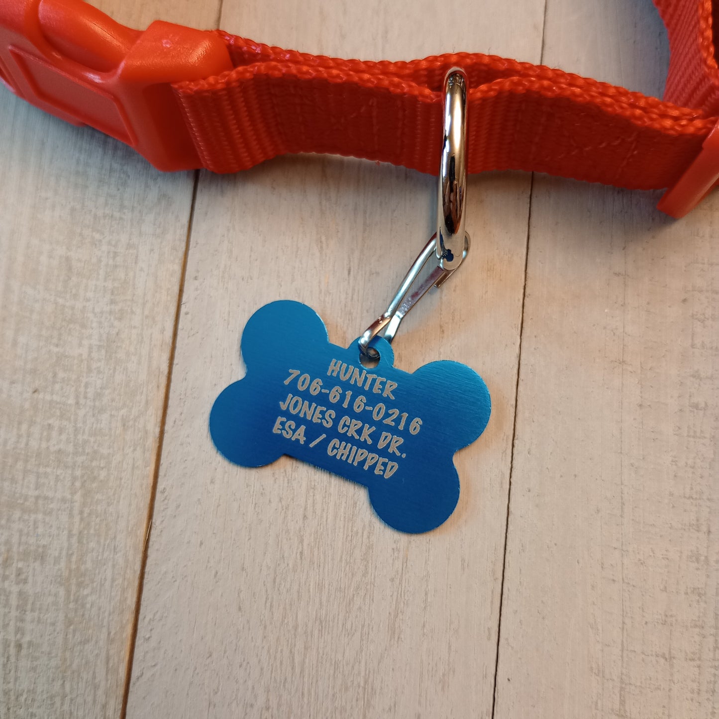 Light Blue Bone Shaped Pet Tag