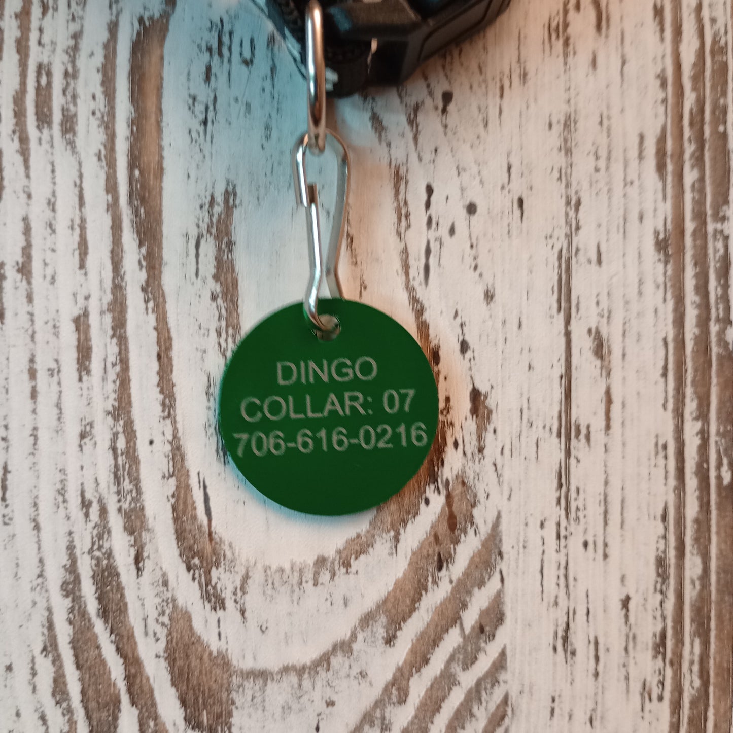 Green Round Pet Tag