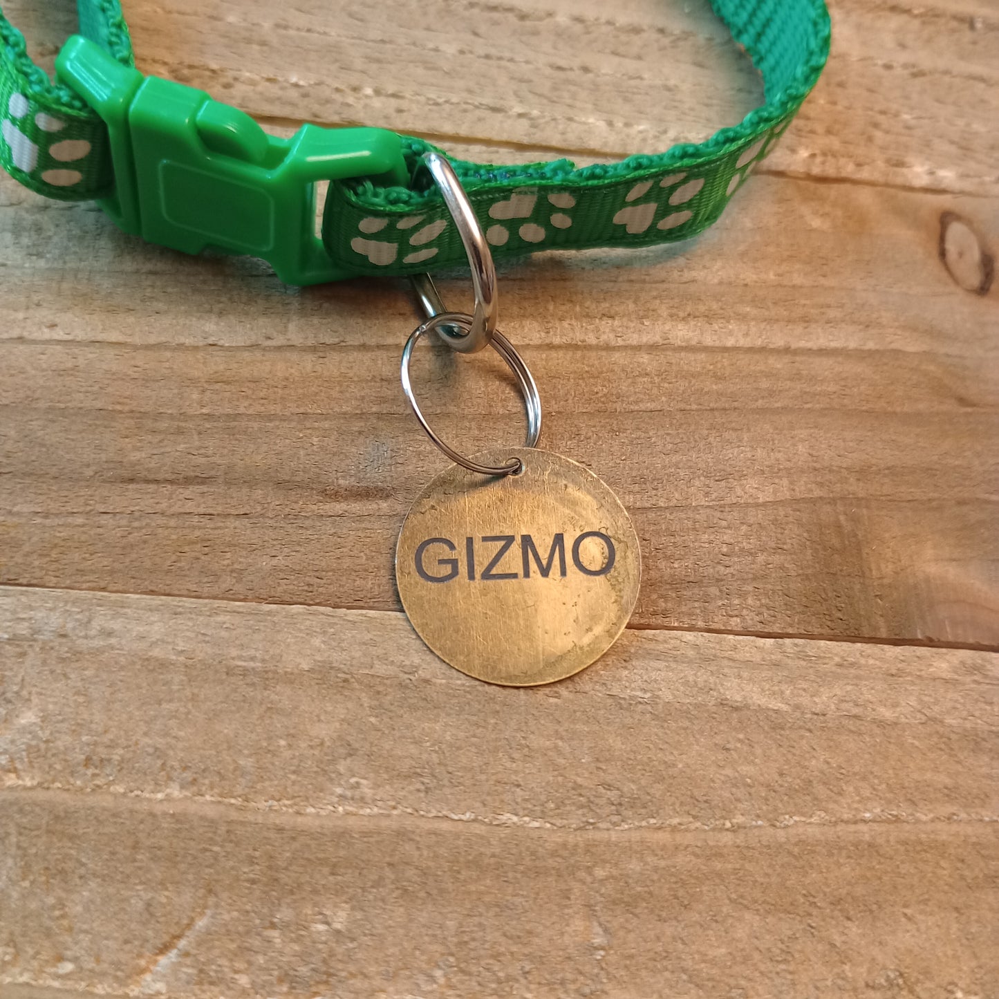 3/4 Inch Brass Round Pet Tag