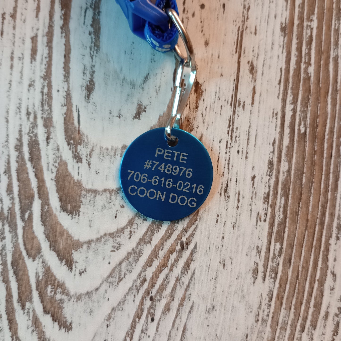 Light Blue Round Pet Tag