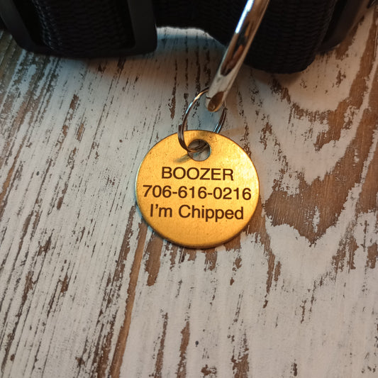 1 Inch Brass Round Pet Tag (C)