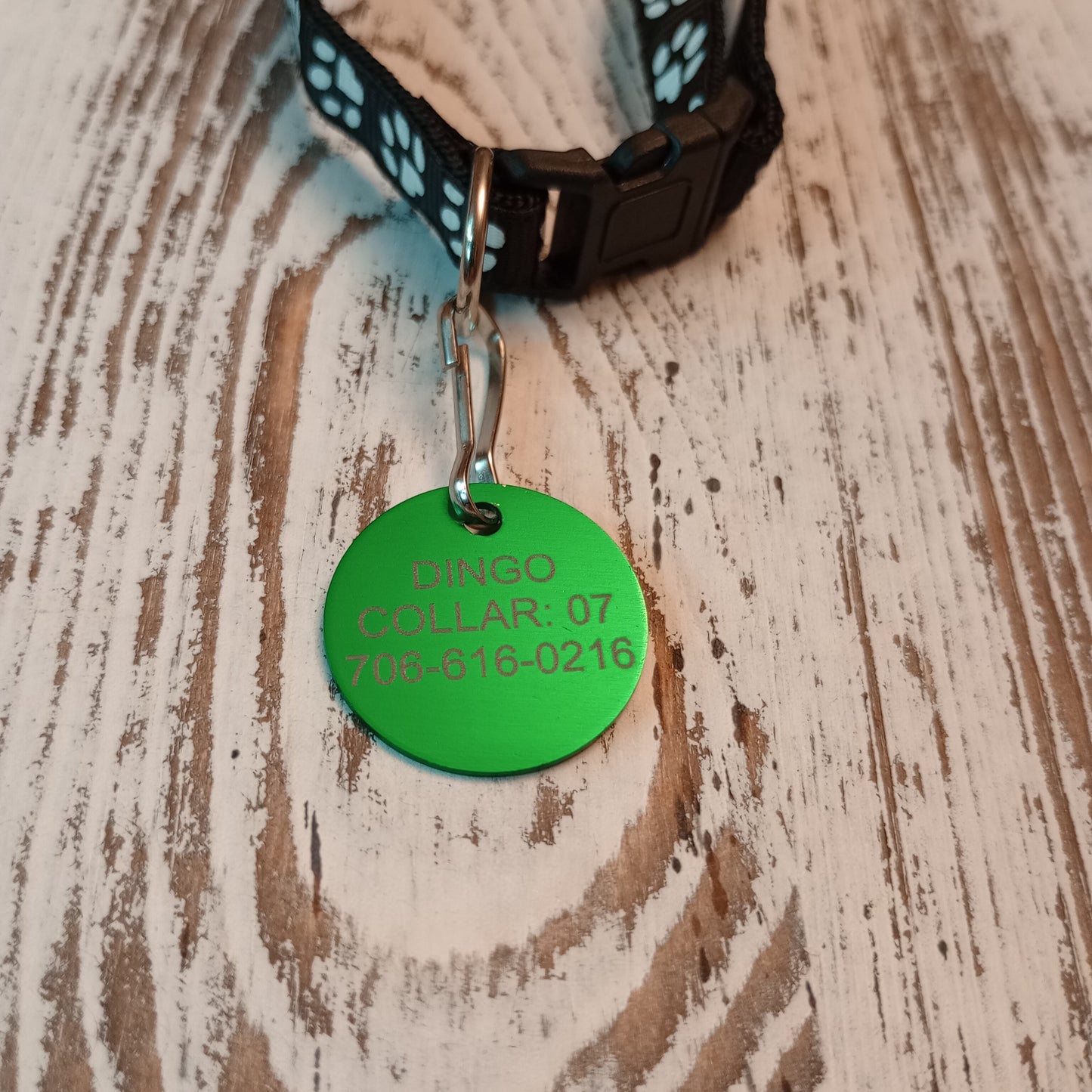 Green Round Pet Tag