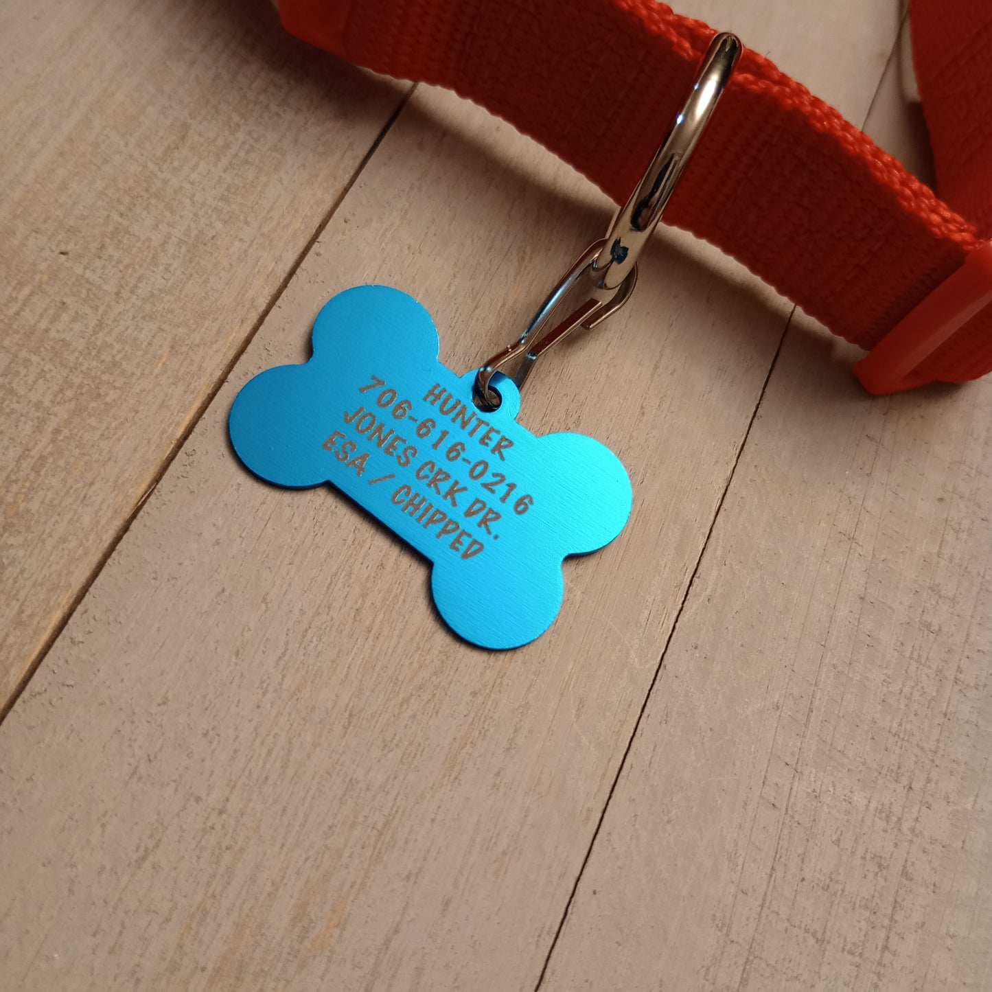 Light Blue Bone Shaped Pet Tag