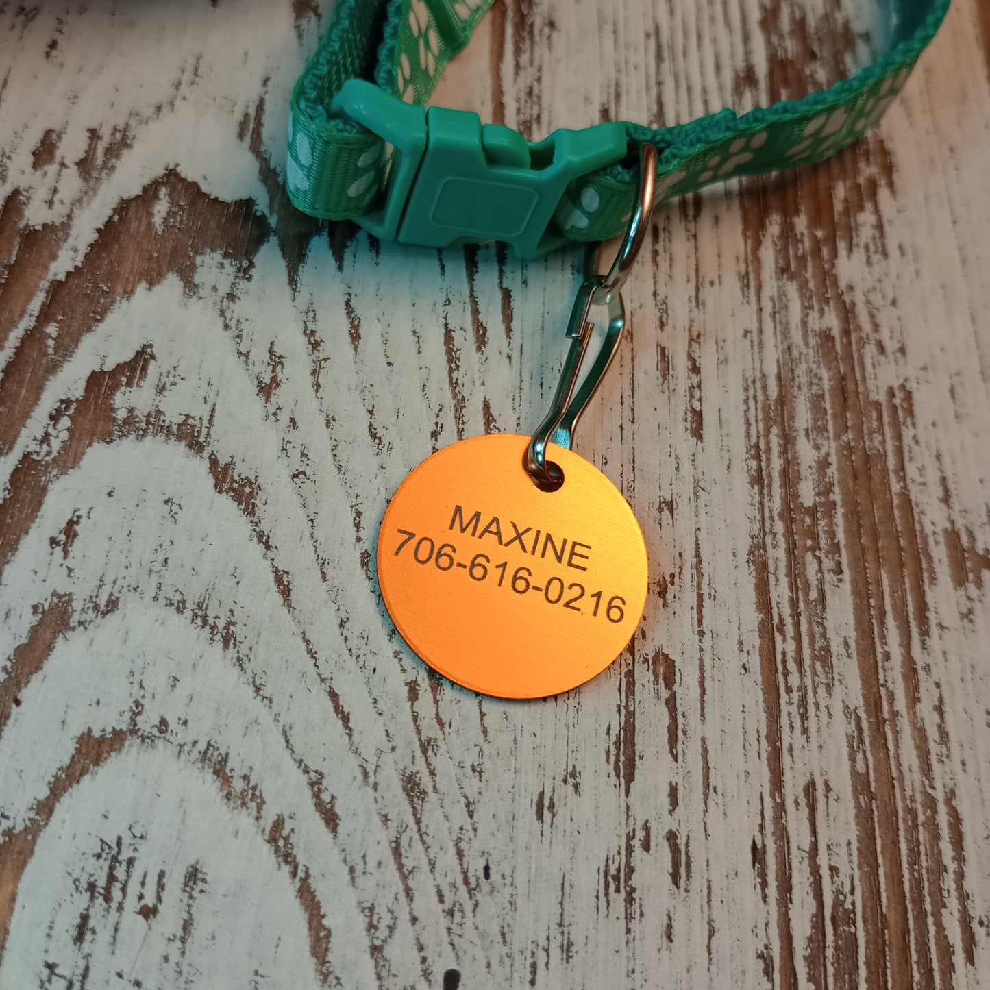 Yellow Round Pet Tag.