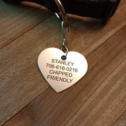 Silver Colored Heart Shaped Pet Tag