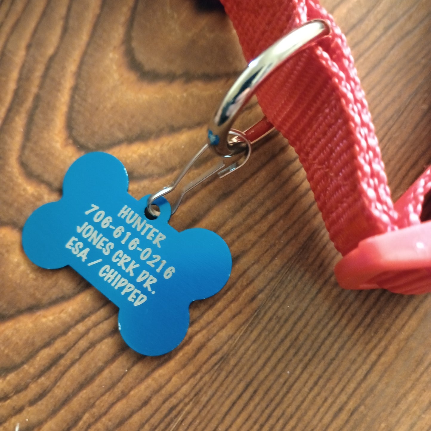 Light Blue Bone Shaped Pet Tag