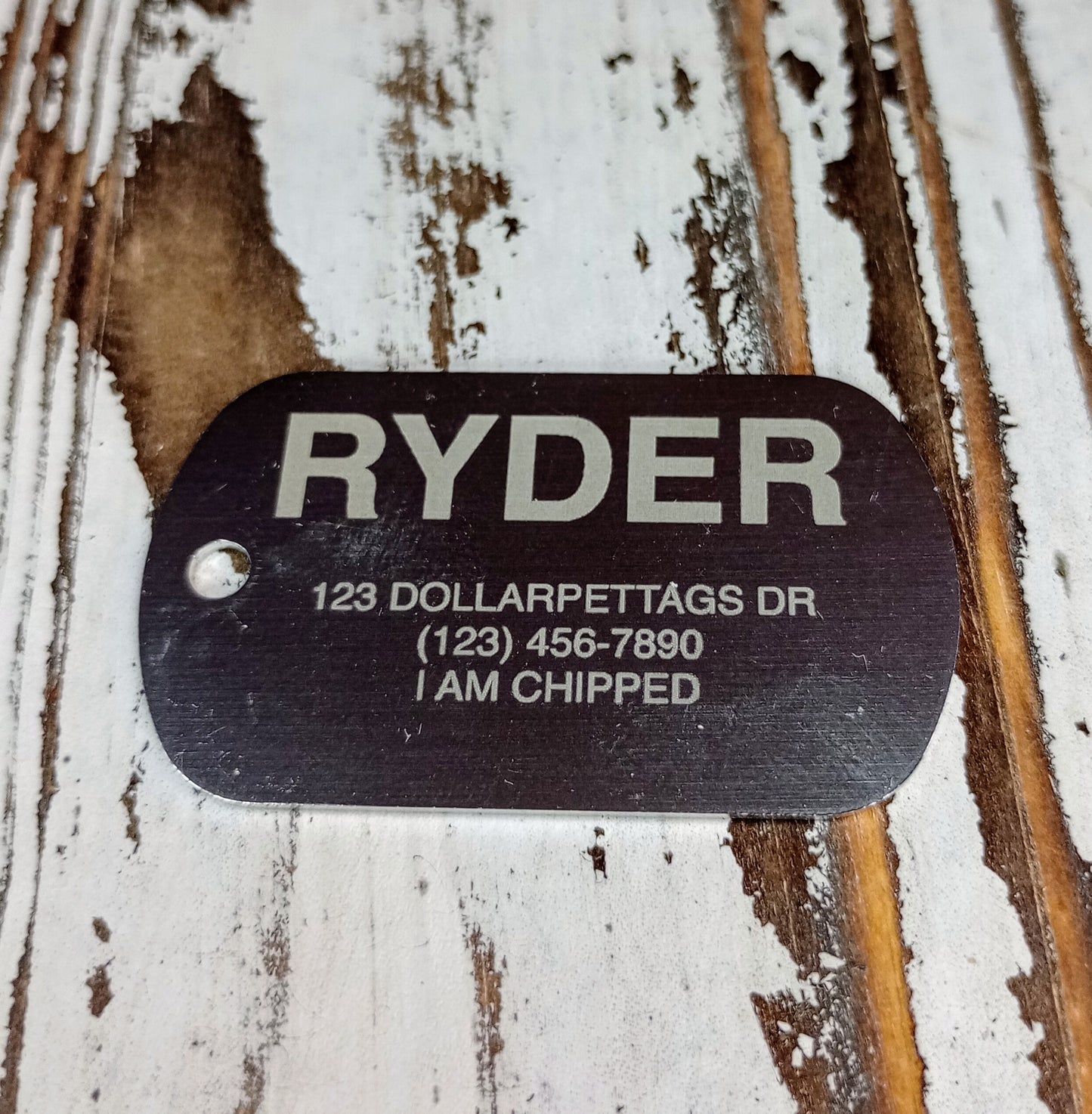 Silver Colored Military Style Pet Tag.