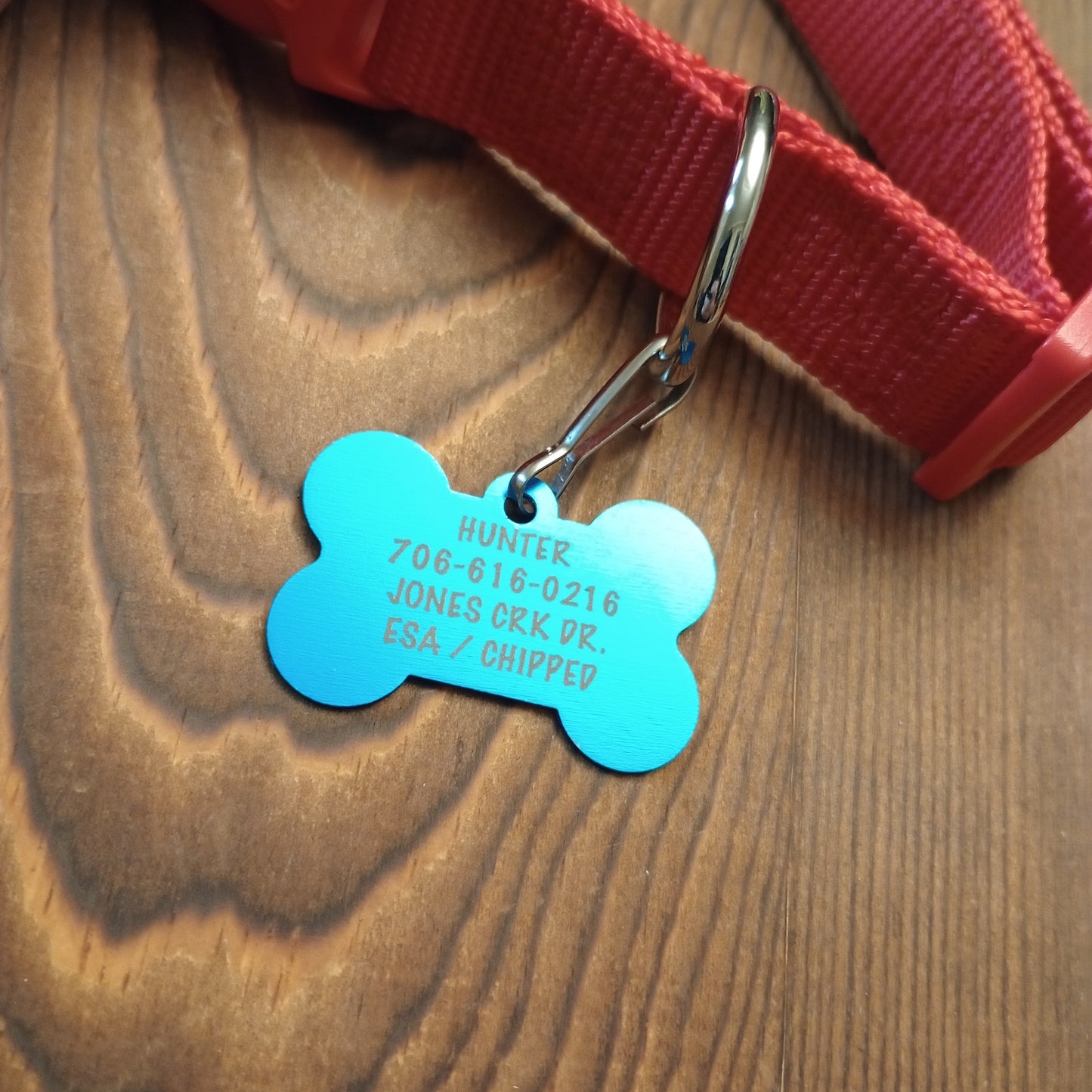 Light Blue Bone Shaped Pet Tag